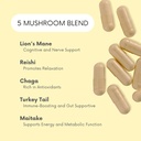 mood-mushrooms---lifted-mushroom-supplem-3.jpg