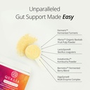 qualia-probiotic---28-science-backed-spo-4.jpg