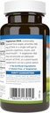 carlson---vegetarian-dha-500-mg-dha-plan-3.jpg
