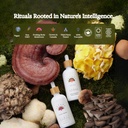 rainbo---cordyceps-mushroom-tincture---d-4.jpg