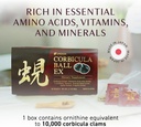 umeken-corbicula-ball-ex-for-liver-suppo-3.jpg