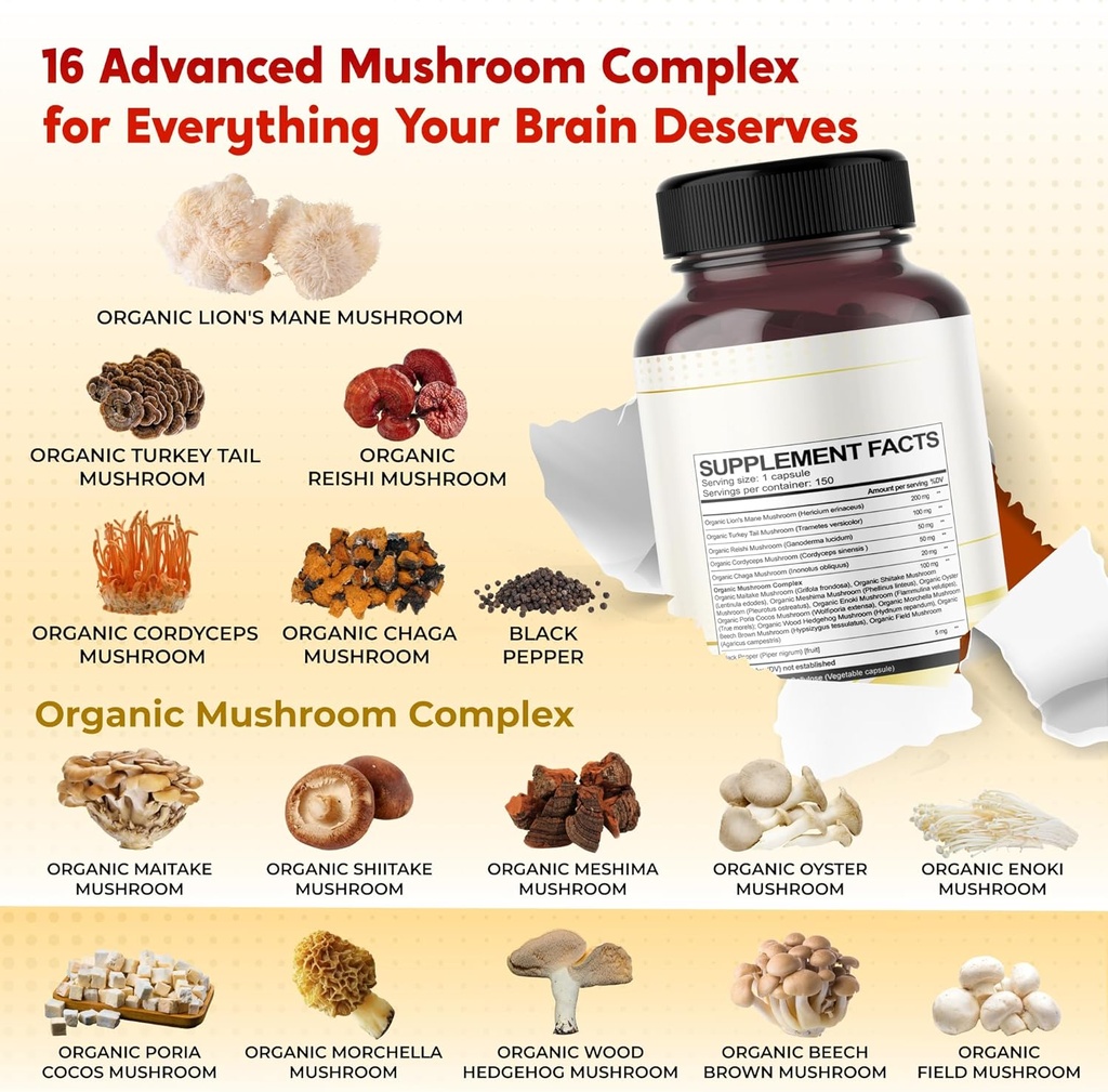 lions-mane-turkey-tail-cordyceps-reishi--3.jpg