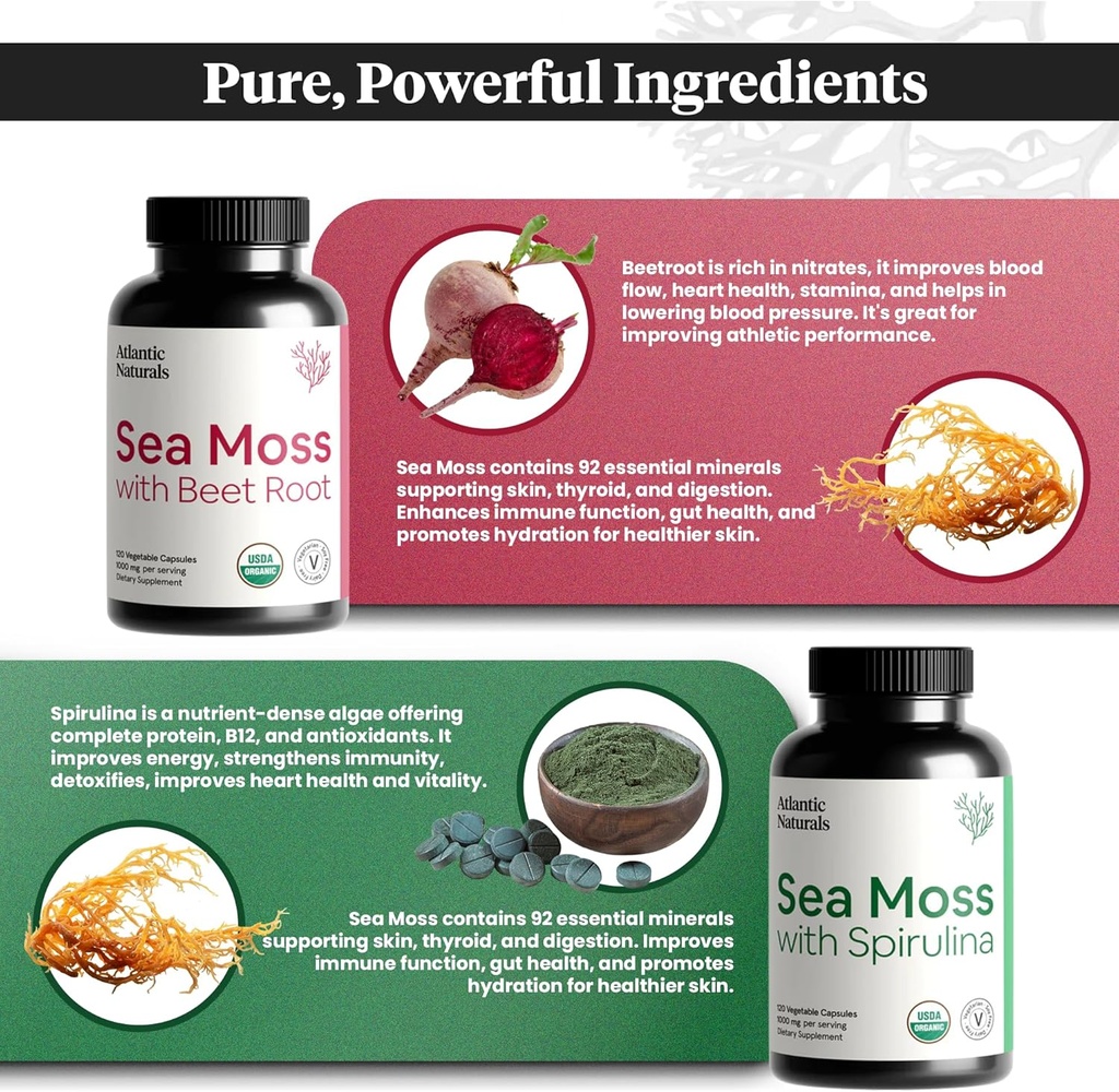 atlantic-naturals-sea-moss-superfood-bun-2.jpg