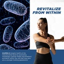 promito-urolithin-a-supplement-500mg-pur-4.jpg