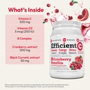 andrew-lessman-efficient-c-cranberry-ben-3.jpg
