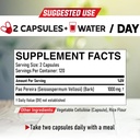 1000mg-pao-pereira-bark-exact-capsules---2.jpg