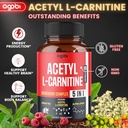 acetyl-l-carnitine-supplement---2600mg-3-3.jpg