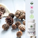 allera-health-pine-pollen-capsules---org-4.jpg