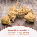 maca-powder-for-pre-workout-muscle-recov-6.jpg