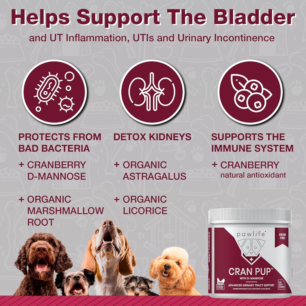 cranberry-supplements-for-dogs-urinary-t-3.jpg