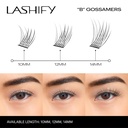 lashify-control-kit---complete-diy-eye-l-5.jpg