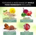 whole-food-men-womens-supplement-for-hol-5.jpg