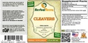 cleavers-galium-aparine-tincture-organic-2.jpg