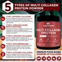 multi-collagen-protein-powder-hydrolyzed-4.jpg