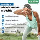 liposomal-nicotinamide-riboside-suppleme-6.jpg