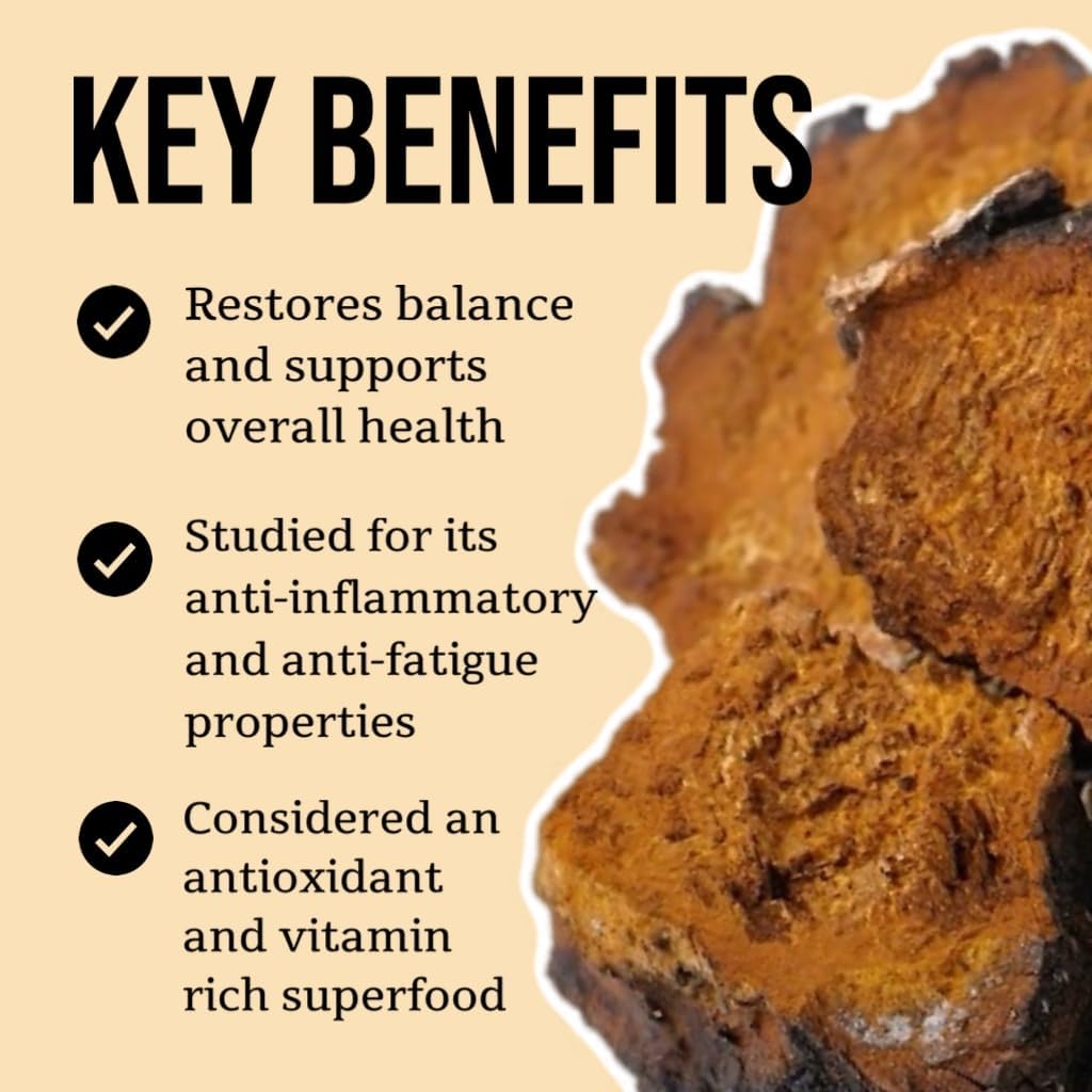north-spore-chaga-mushroom-tincture-ener-4.jpg
