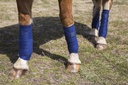 intrepid-international-polo-wraps-for-ho-4.jpg