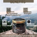shilajit---all-natural-maximum-potency-h-2.jpg