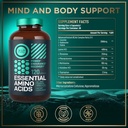 wild-fuel-fadogia-tongkat-ali-supplement-3.jpg