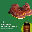 healthforce-superfoods-integrity-extract-6.jpg