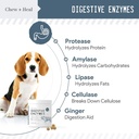 digestive-enzymes-and-probiotics-and-cra-6.jpg