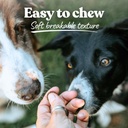 healthybud-turkey-dog-probiotic-chews----6.jpg