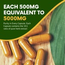 organic-giloy-guduchi-powder-herbal-caps-4.jpg