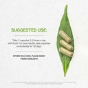 secrets-of-the-tribe---happy-hormones-en-2.jpg