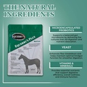 equerrys-plus-horse-supplement---enhance-3.jpg