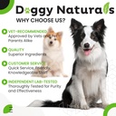 dog-ear-cleaner-wipes-with-aloe-and-euca-6.jpg