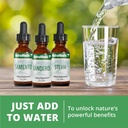 nutramedix-babuna-calm-drops---chamomile-4.jpg