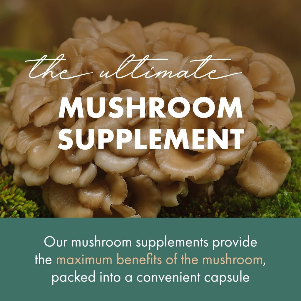 pure-essence-labs-mypure-maitake-mushroo-3.jpg
