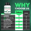 berberine-with-ceylon-cinnamon-supplemen-4.jpg