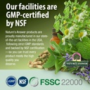 natures-answer-lomatium-root-extract-lom-6.jpg