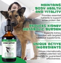 kidney-support-for-dogs---kidney-support-5.jpg