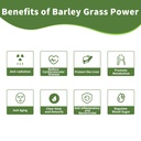barley-grass-juice-powder-13-oz---100-pu-3.jpg