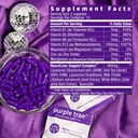 purple-tree-celebration-recovery-next-da-6.jpg
