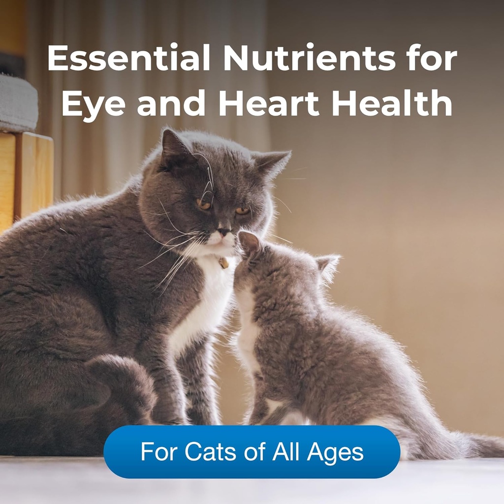 petag-taurine-tablets-for-cats---100-tab-3.jpg