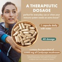pure-essence-labs-mypure-cordyceps-4x-mu-4.jpg