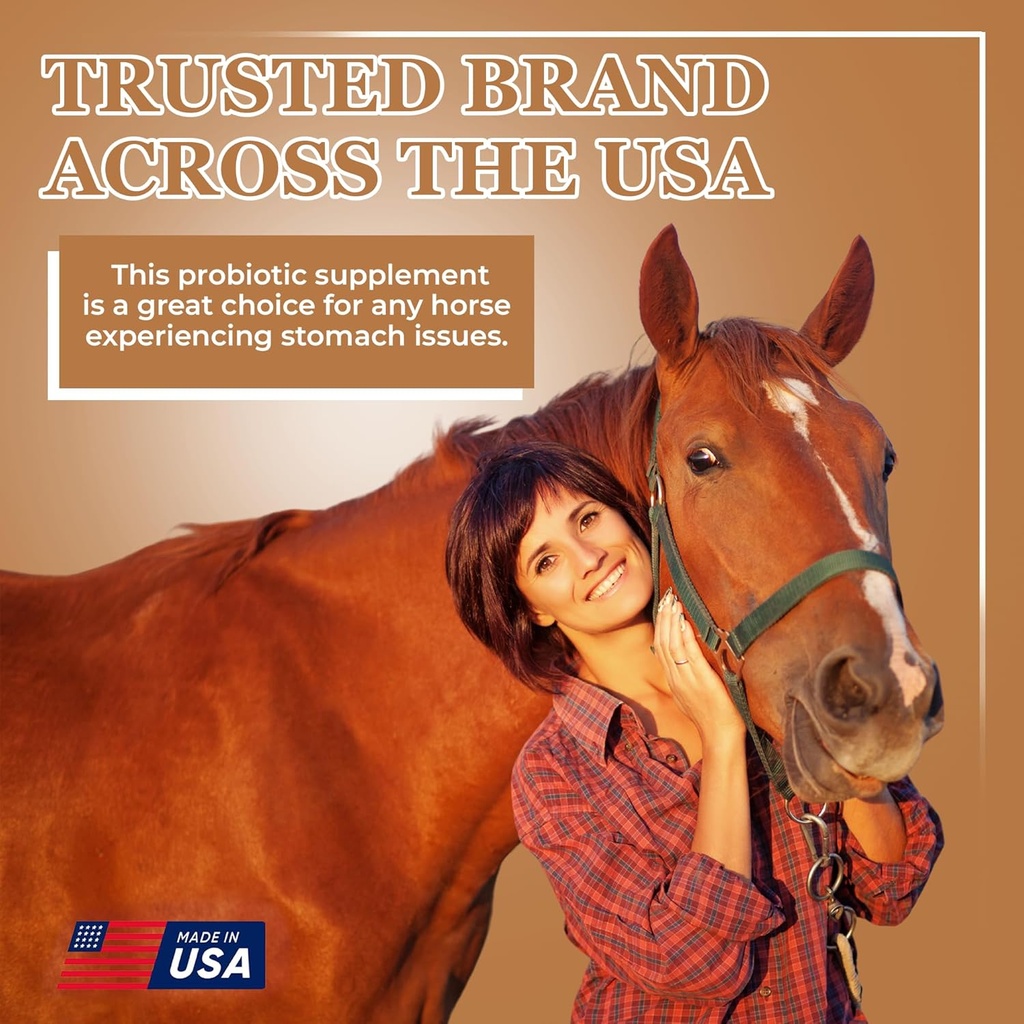 equerrys-sand-master-horse-supplement----6.jpg