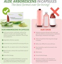 aloebeta-aloe-arborescens-natural-power--6.jpg