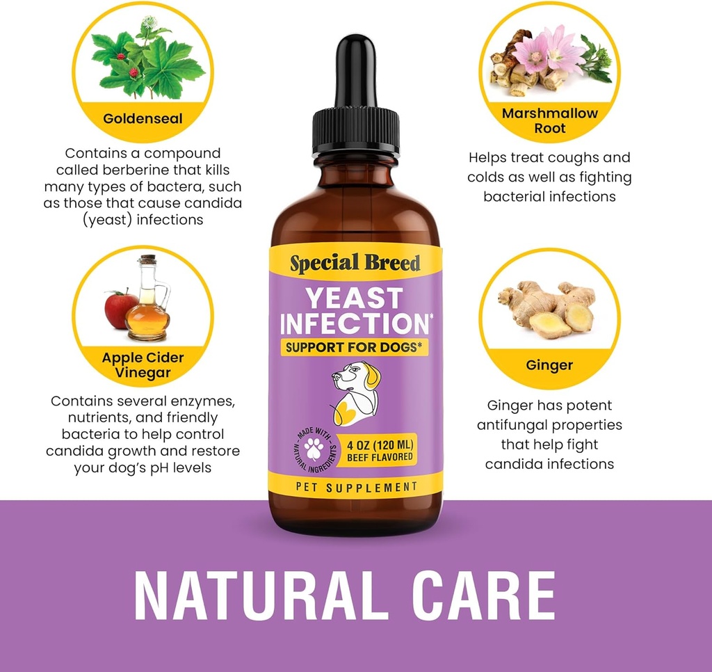 yeast-infection-treatment-for-dogs---4-o-2.jpg