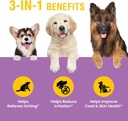 yeast-infection-treatment-for-dogs---4-o-3.jpg
