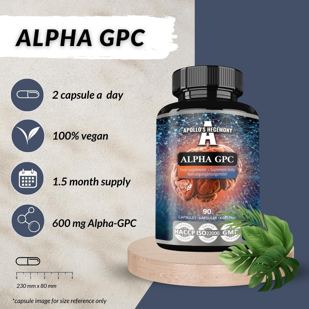 apollos-hegemony-alpha-gpc-600mg-per-dai-3.jpg