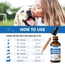 cough-treatment-for-dogs---relives-sore--4.jpg