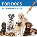 cough-treatment-for-dogs---relives-sore--5.jpg