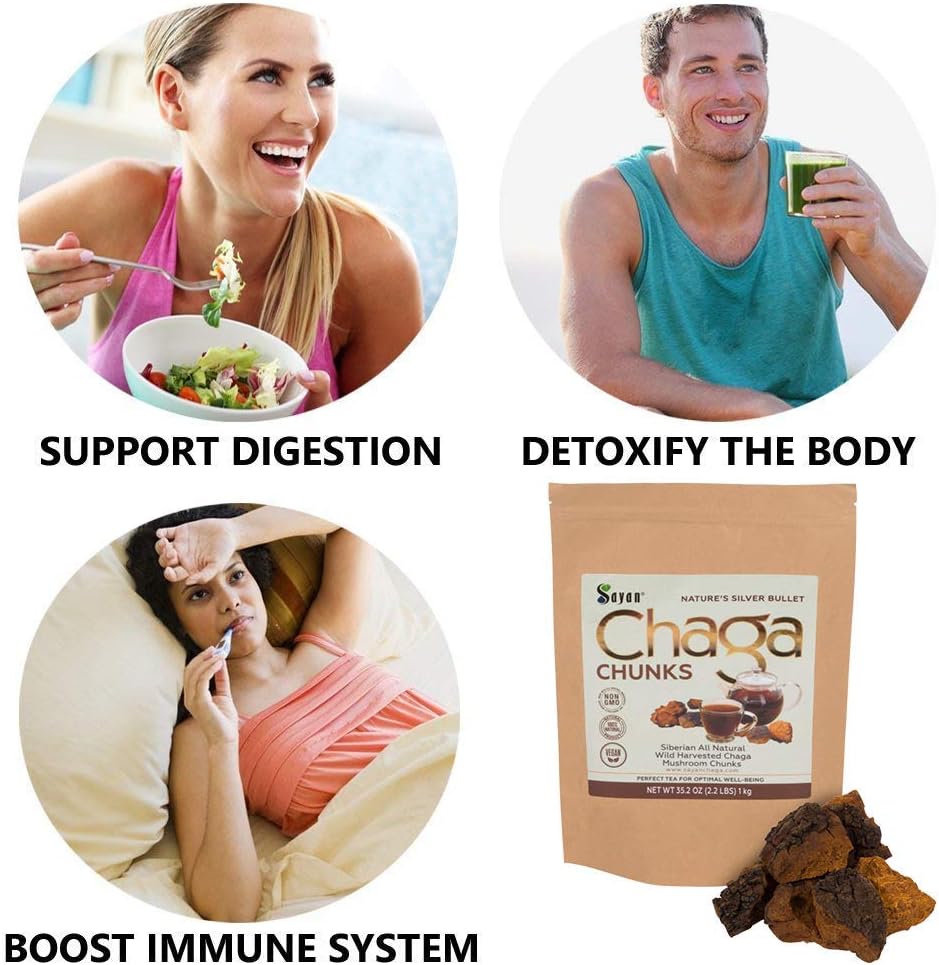 sayan-siberian-pure-raw-chaga-mushroom-c-4.jpg
