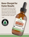 rawguru-organic-reishi-mushroom-tincture-5.jpg
