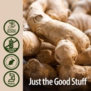 natures-answer-ginger-with-organic-alcoh-4.jpg