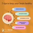 mindsense1-the-ultimate-nootropic-brain--2.jpg